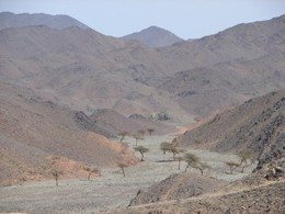 Cesser Meaning In Urdu, Khtama خاتمہ